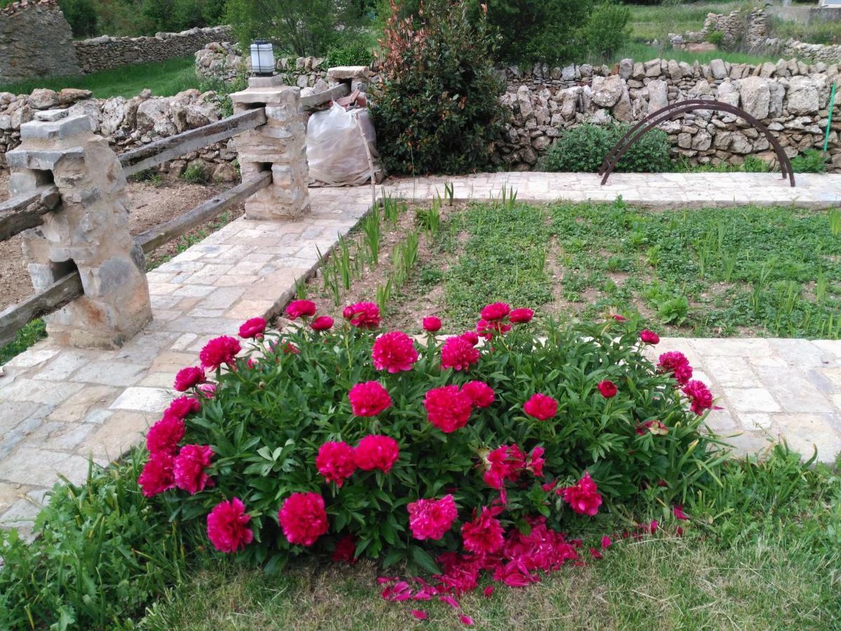 Casa Rural Caseta De L' Hort Вияфранка дел Сид Екстериор снимка