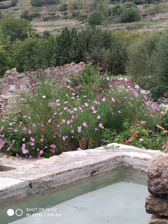 Casa Rural Caseta De L' Hort Вияфранка дел Сид Екстериор снимка